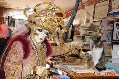 Découvrez les masques vénitiens  du carnaval de Venise. Costumes vénitiens pour le Carnaval de Venise
